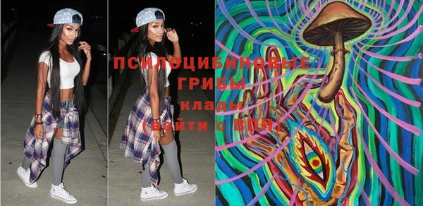 соль ск Новозыбков