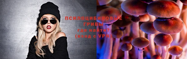 дмт Алексин
