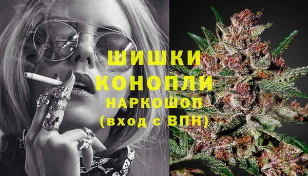 индика Алексеевка